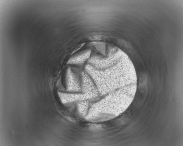 X0000070190332200606232019