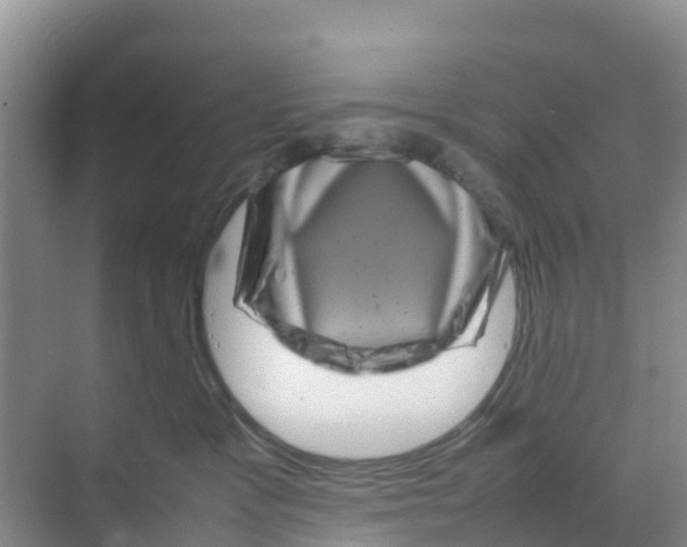 X0000070190333200606232019