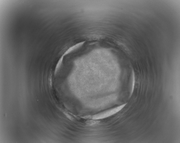 X0000070190334200606232019