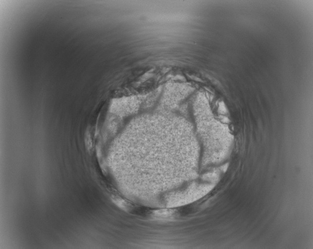 X0000070190335200606232019