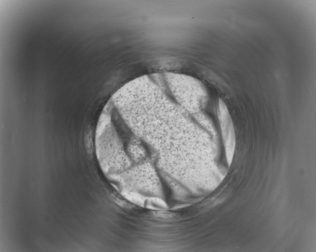 X0000070190336200606232019