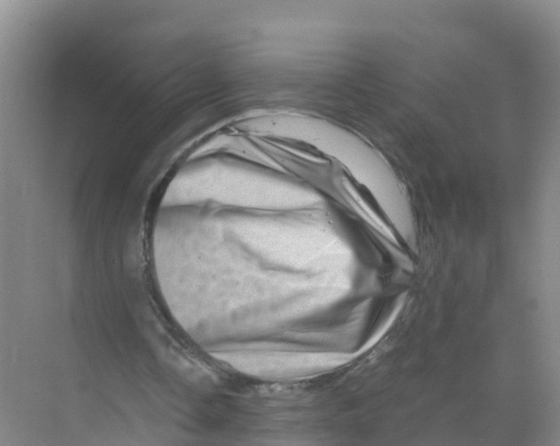 X0000070190338200606232018