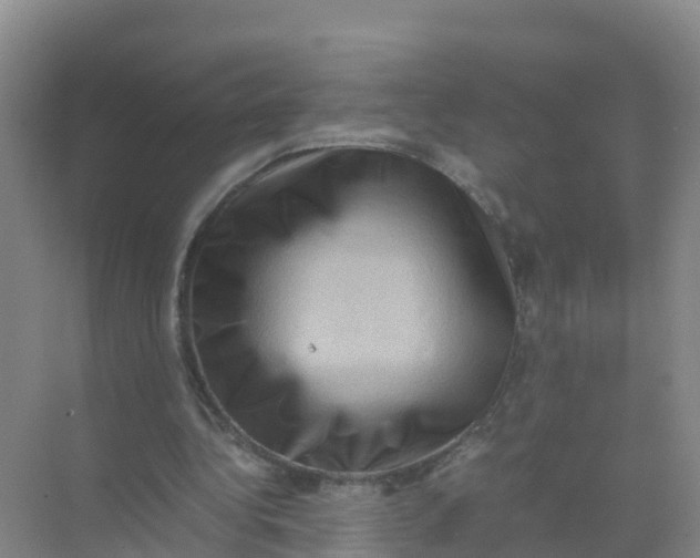 X0000070190340200606232018