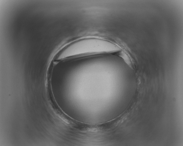 X0000070190344200606232018