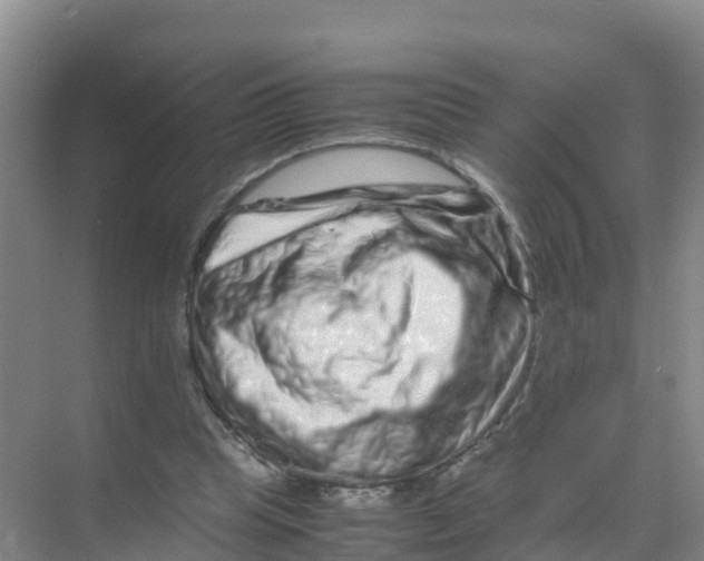 X0000070190345200606232018