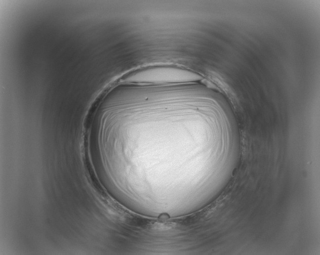 X0000070190346200606232018