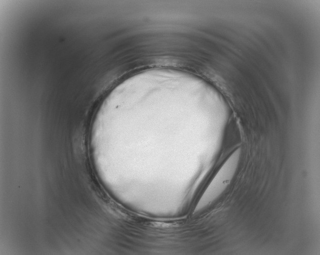 X0000070190347200606232018