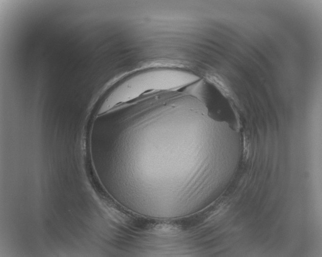 X0000070190348200606232018