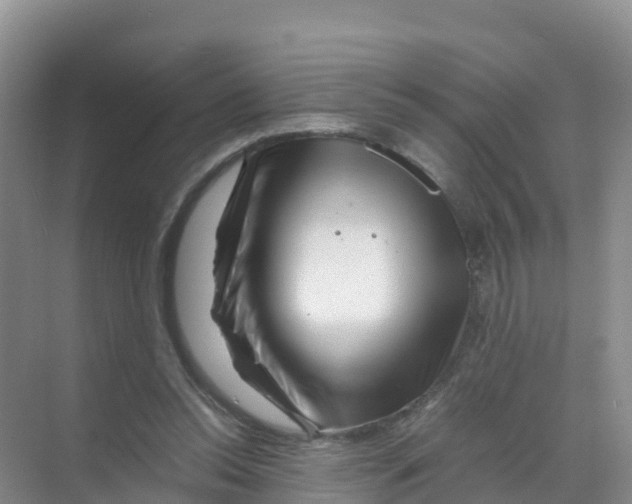 X0000070190350200606232018