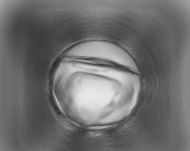 X0000070190351200606232018