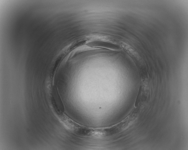 X0000070190352200606232018