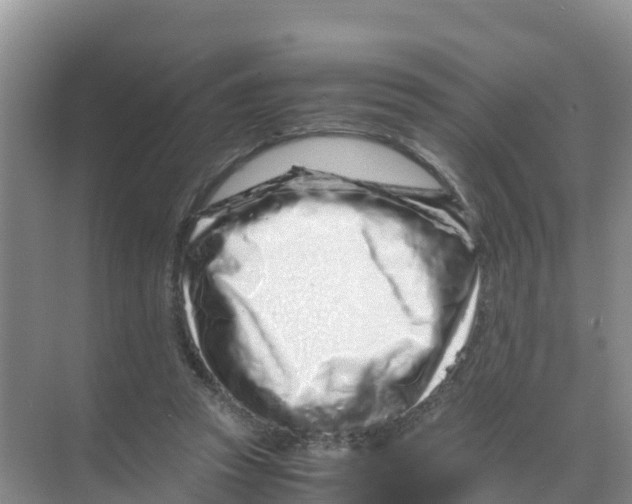 X0000070190353200606232018