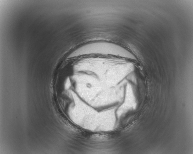 X0000070190354200606232018