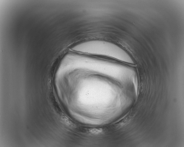 X0000070190355200606232018