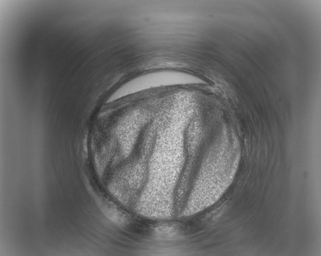 X0000070190358200606232019