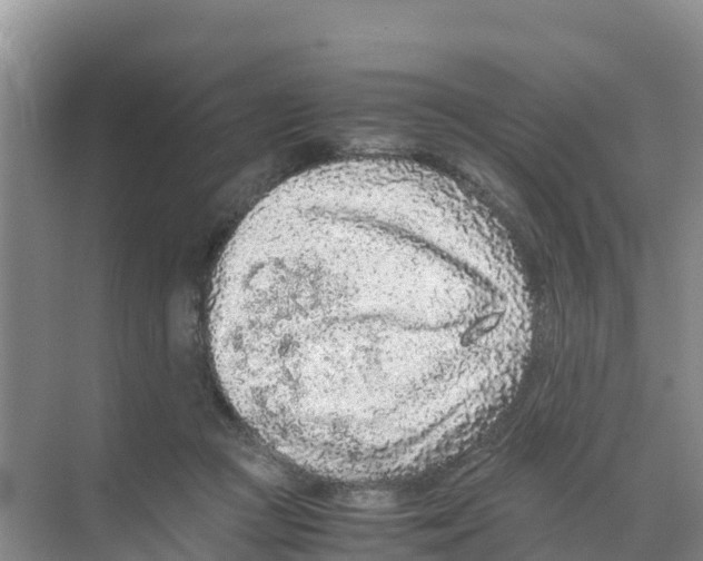 X0000070190361200606232019