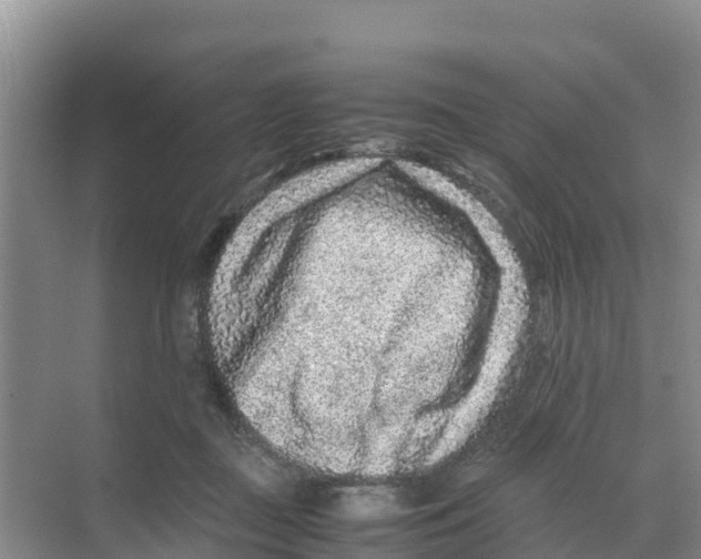 X0000070190363200606232019