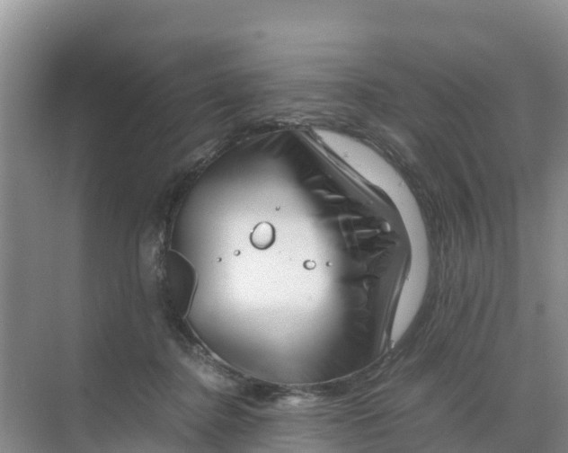 X0000070190364200606232019