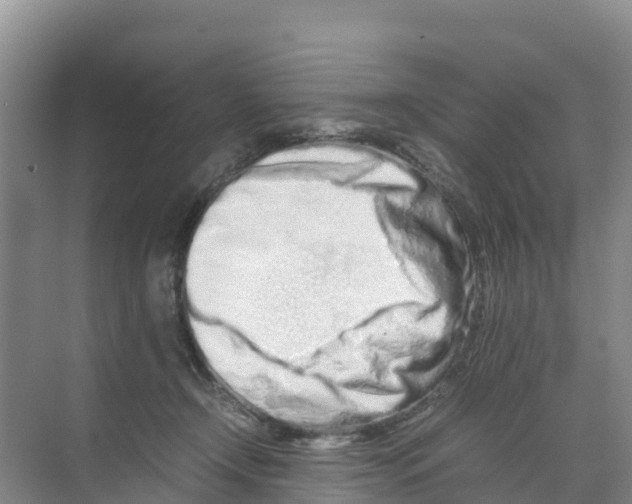 X0000070190366200606232019