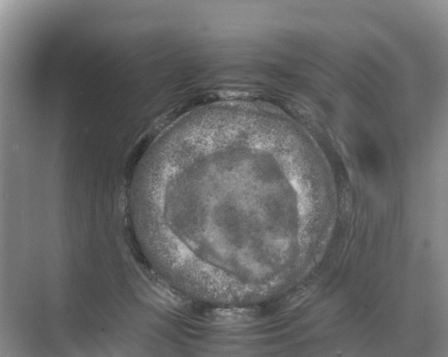 X0000070190367200606232019