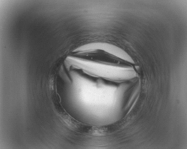 X0000070190368200606232019