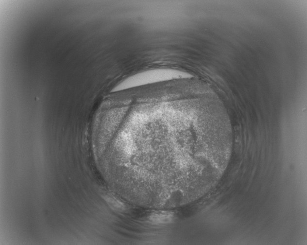 X0000070190369200606232019