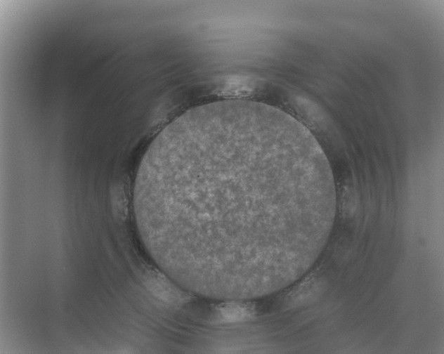 X0000070190370200606232019