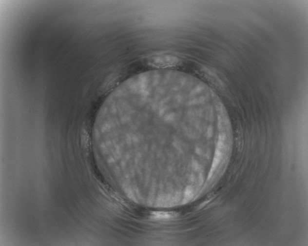 X0000070190371200606232019