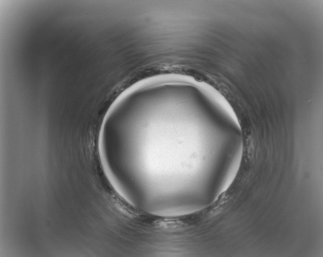 X0000070190372200606232019