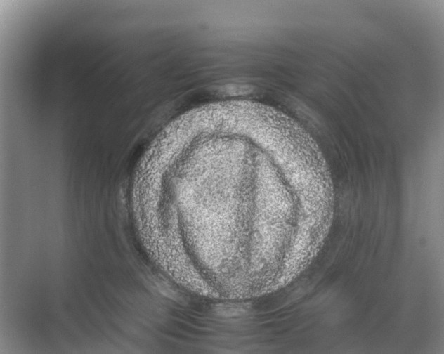 X0000070190373200606232019