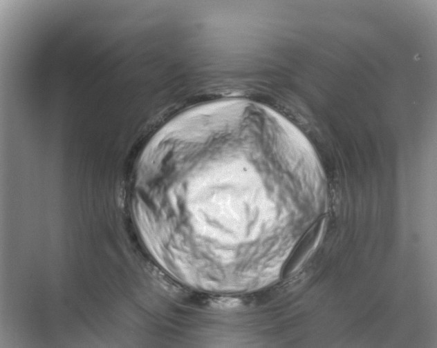 X0000070190374200606232019