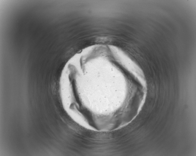 X0000070190375200606232019