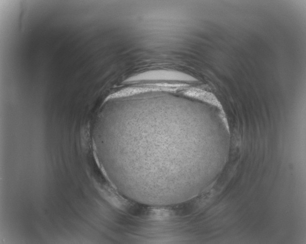 X0000070190376200606232019