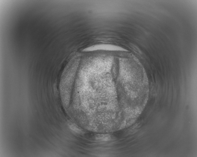 X0000070190377200606232019