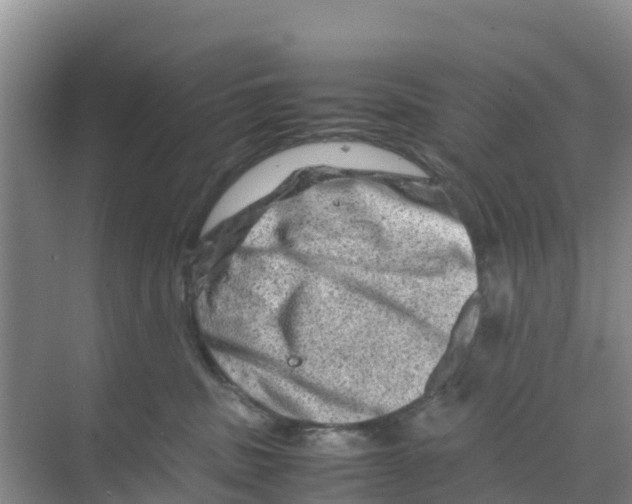 X0000070190379200606232019