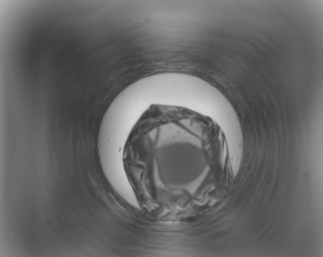 X0000070190380200606232019