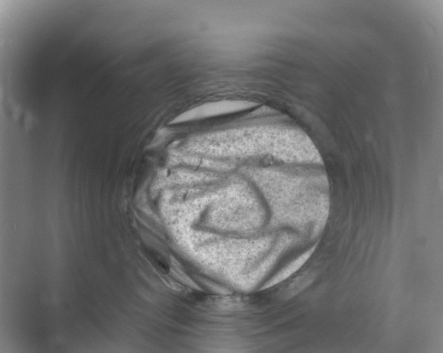 X0000070190384200606232019