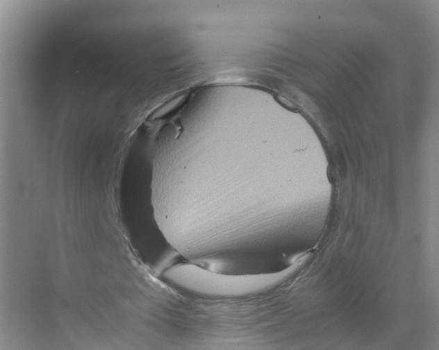 X0000070190385200606232018