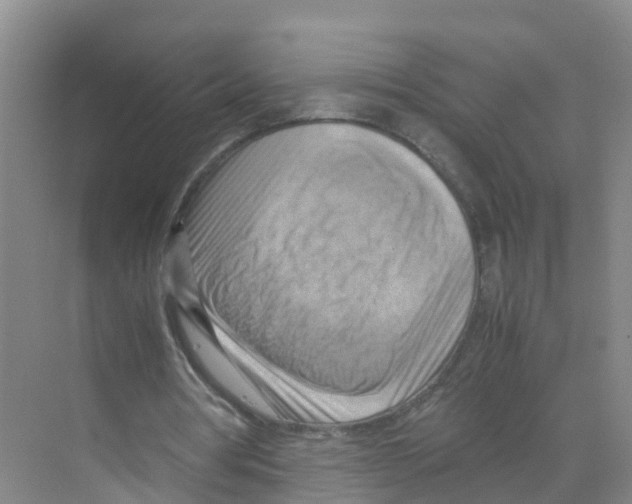 X0000070190386200606232018