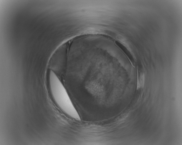 X0000070190387200606232018