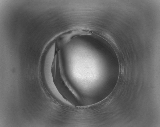 X0000070190388200606232018