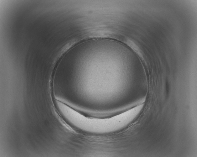 X0000070190389200606232018