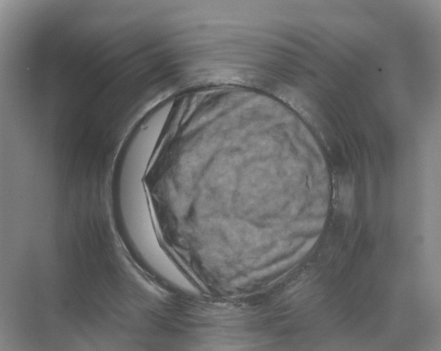 X0000070190390200606232018