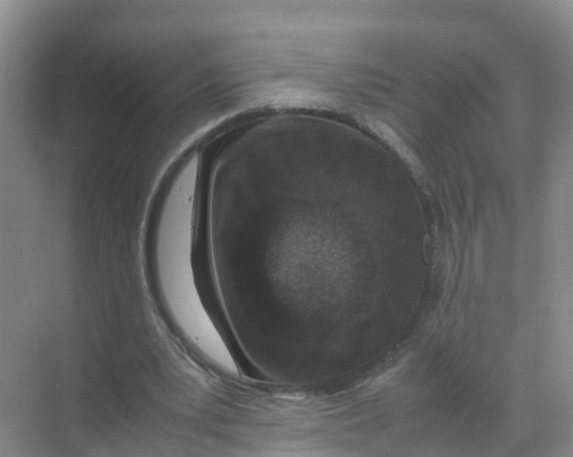 X0000070190391200606232018