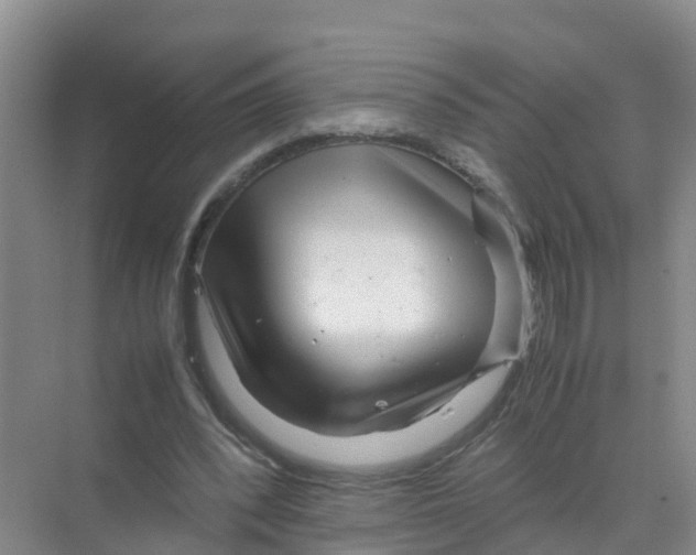 X0000070190392200606232018