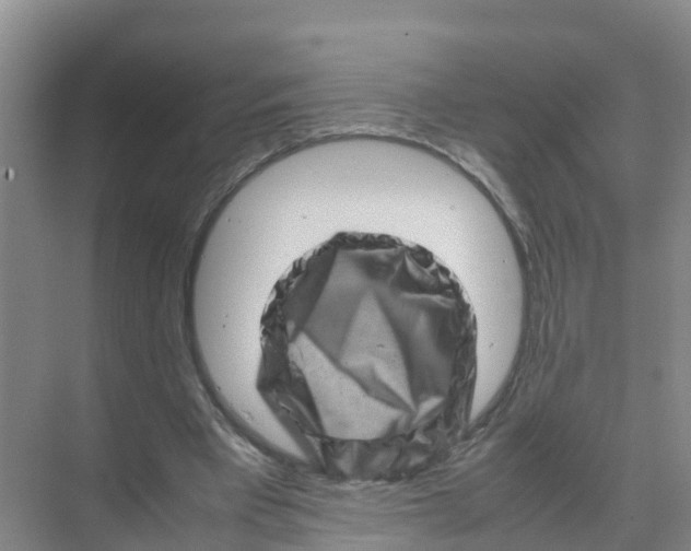 X0000070190393200606232018