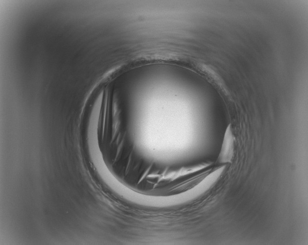 X0000070190395200606232018