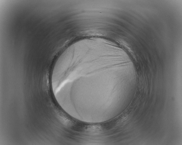 X0000070190398200606232018