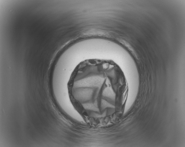 X0000070190399200606232018