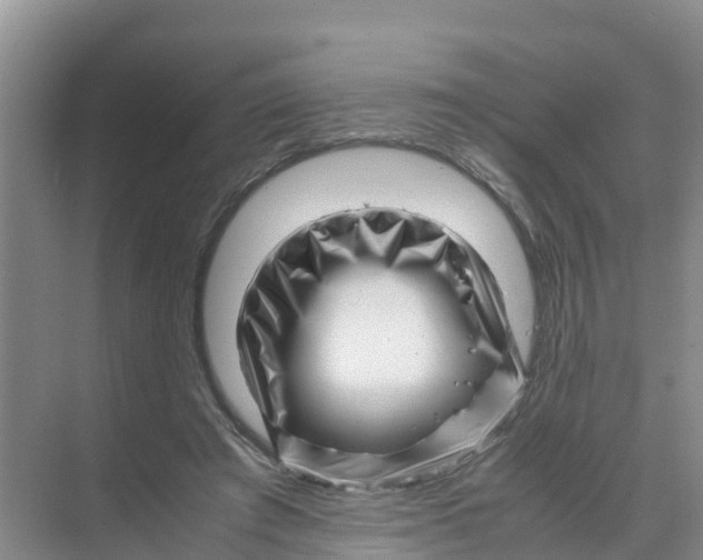 X0000070190401200606232018